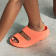 1700_sunburst_1_q