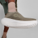OOmyZen_Foliage2