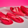 berry_breeze_product_1cd6801f-c4e4-4593-be72-55346d8a7b44
